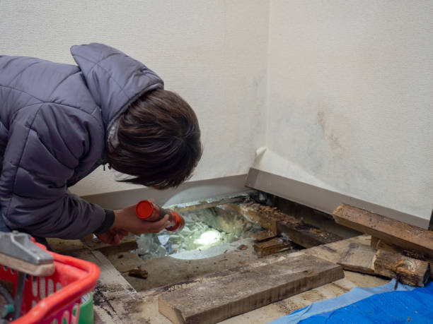Best HVAC Mold Inspection and Cleaning  in Kalamazoo, MI