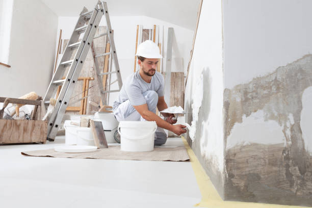 Best Basement Mold Removal  in Kalamazoo, MI
