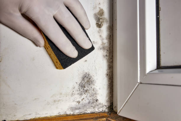 Best Post-Remediation Verification Testing  in Kalamazoo, MI