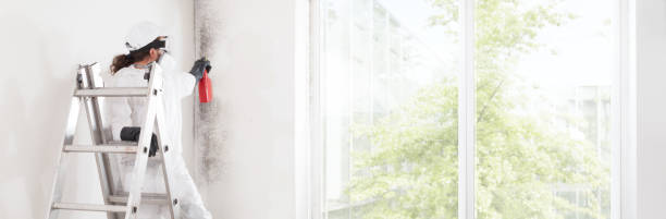 Best Mold Removal for HVAC Installations  in Kalamazoo, MI